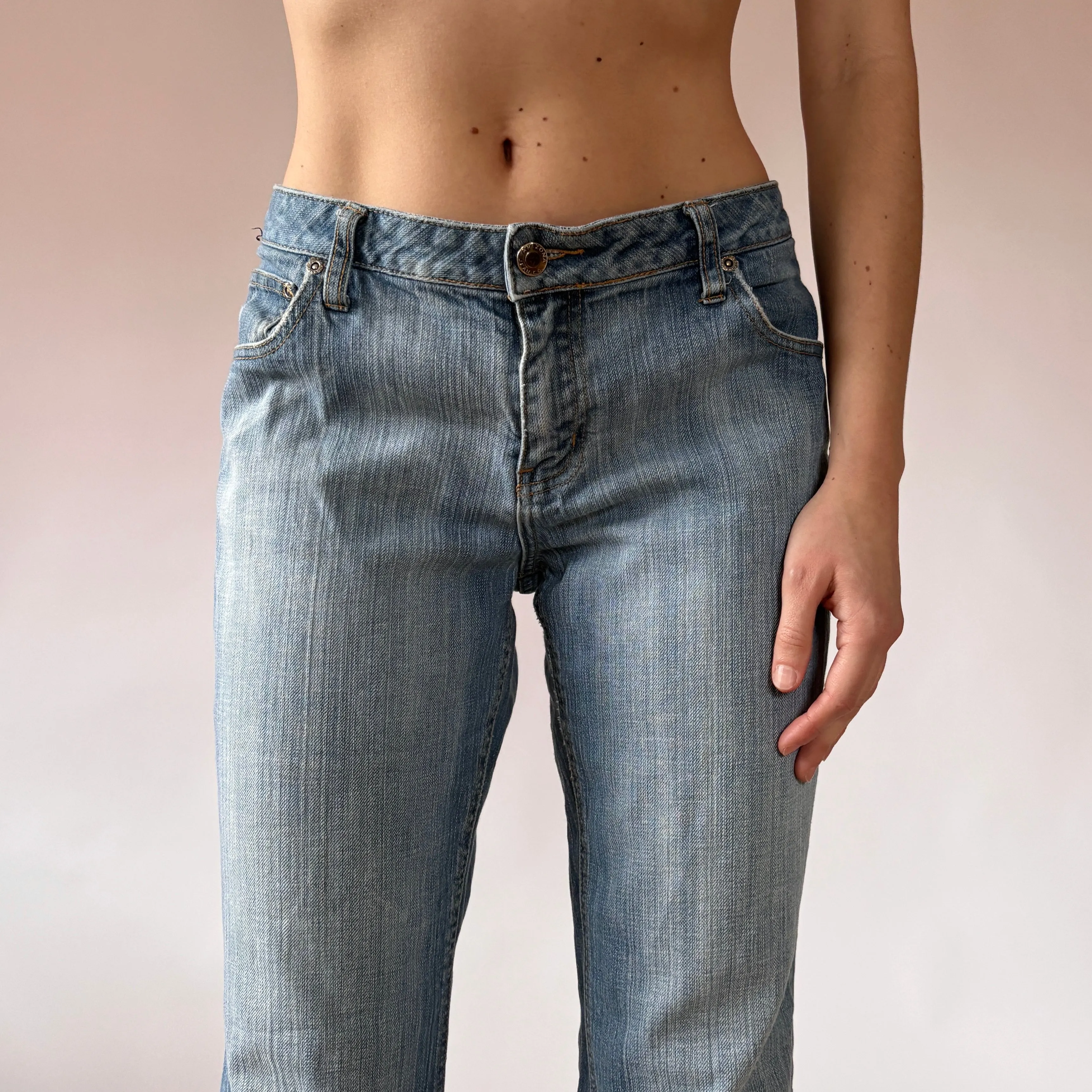 Y2K Low Rise Jeans (L)